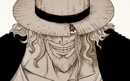 "One Piece": Entire Story was Leaked by Twitter User Before Account Disappears 5