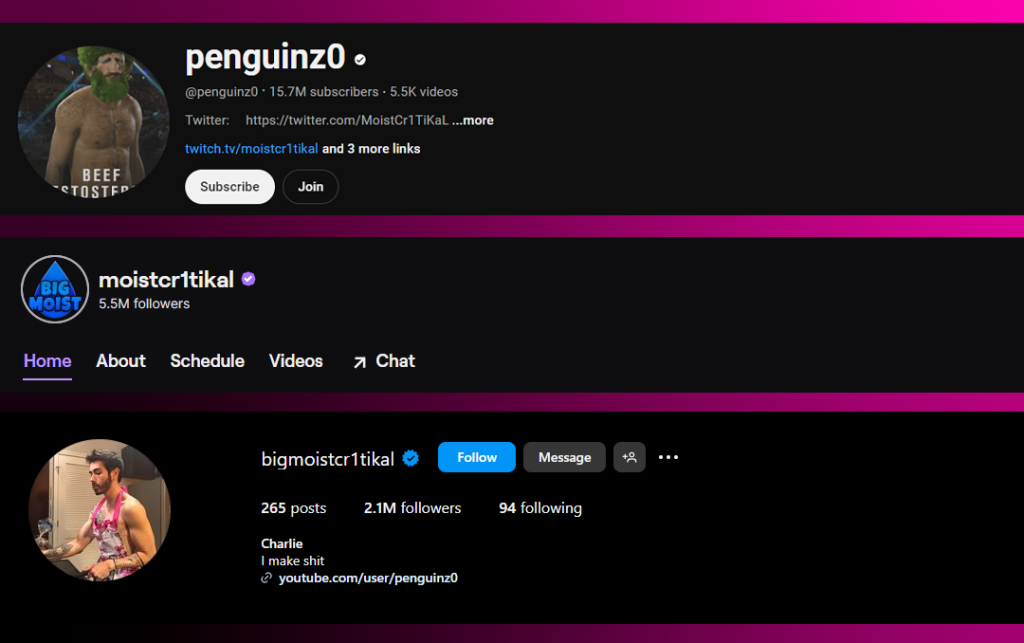 Penguinz0 is Quitting for a While Due to Recent Drama 1