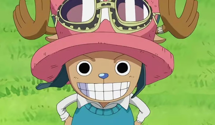 Which One Piece Character Are You? 6 Chopper, One Piece
