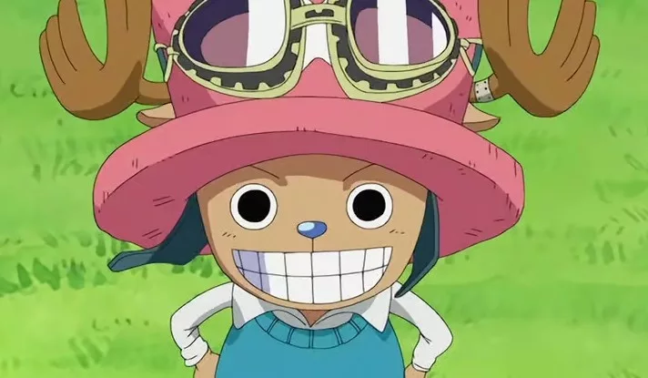 Which One Piece Character Are You? 6 Chopper, One Piece