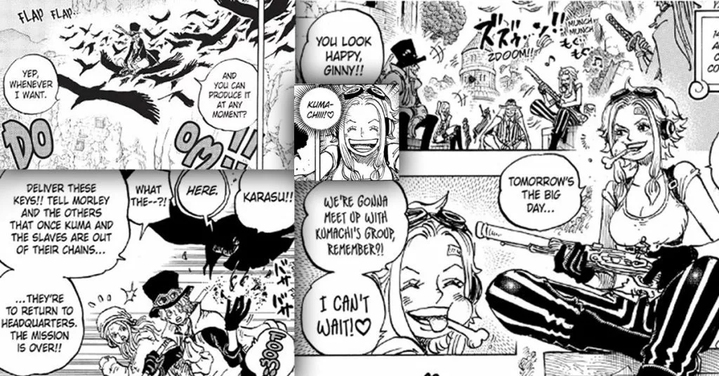 The Suspicious Behavior of Karasu - One Piece Theory (Dark) 4