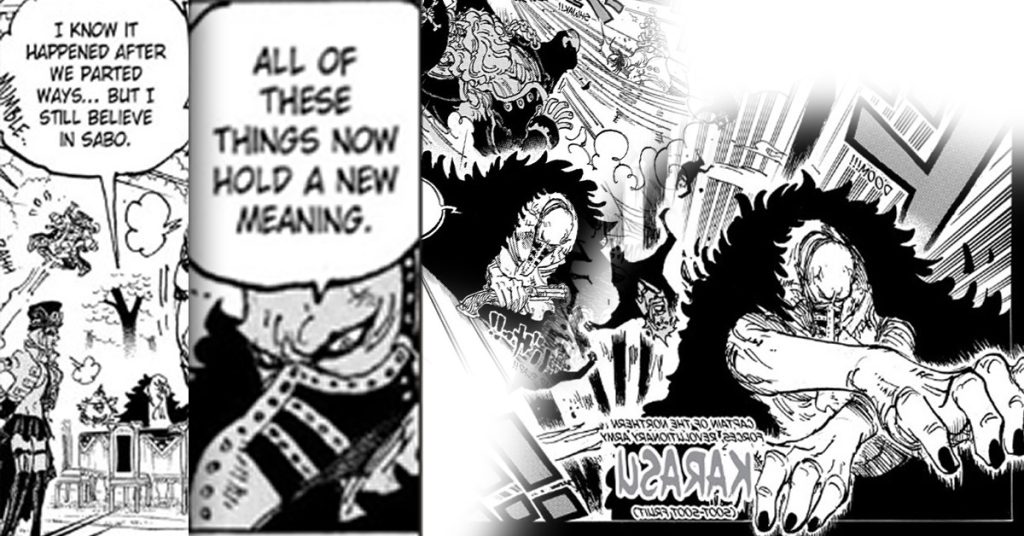 The Suspicious Behavior of Karasu - One Piece Theory (Dark) 5