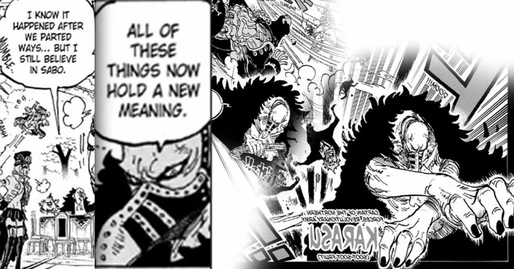 The Suspicious Behavior of Karasu - One Piece Theory (Dark) 5